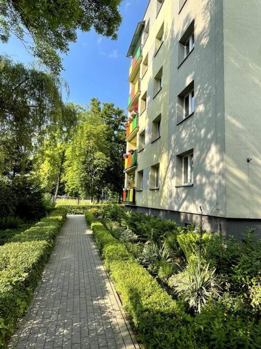 Sunny Apartment In Silesia Czeladź Εξωτερικό φωτογραφία